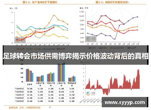 足球转会市场供需博弈揭示价格波动背后的真相